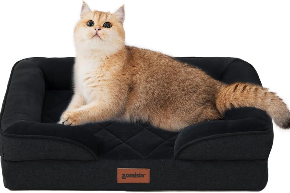 Ultimate Comfort: Review of the Orthopedic Dog Bed for Small Dogs