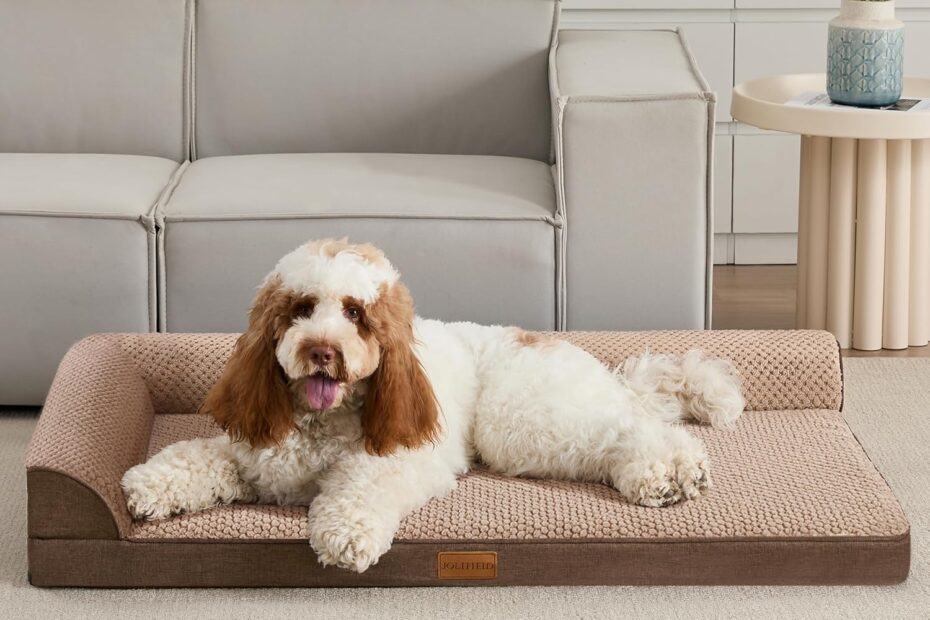 Ultimate Comfort: Review of the Orthopedic Jacquard XL Dog Bed for Large Dogs