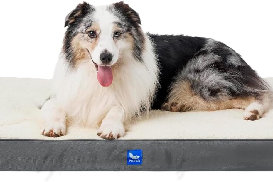 Ultimate Comfort: Review of the Orthopedic Memory Foam Dog Bed