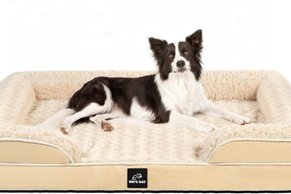 Ultimate Comfort: Review of the Orthopedic Memory Foam Dog Bed for Large and Medium Pets