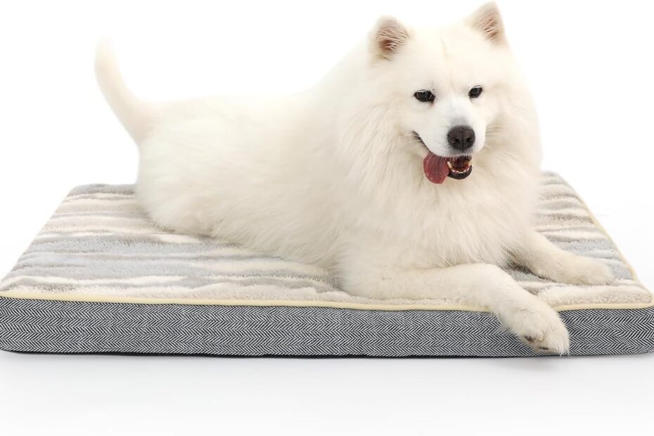 Ultimate Comfort: Review of the Orthopedic Pet Cushion for Medium to Large Dogs