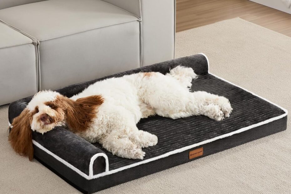 Ultimate Comfort: Review of the Patas Lague Orthopedic Dog Bed for Medium Dogs