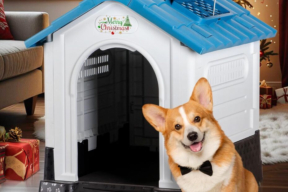 Ultimate Comfort: Review of the Pet Republic Elevated Dog House