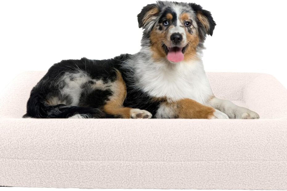 Ultimate Comfort: Review of the PETMAKER Orthopedic Dog Bed for Medium Pups