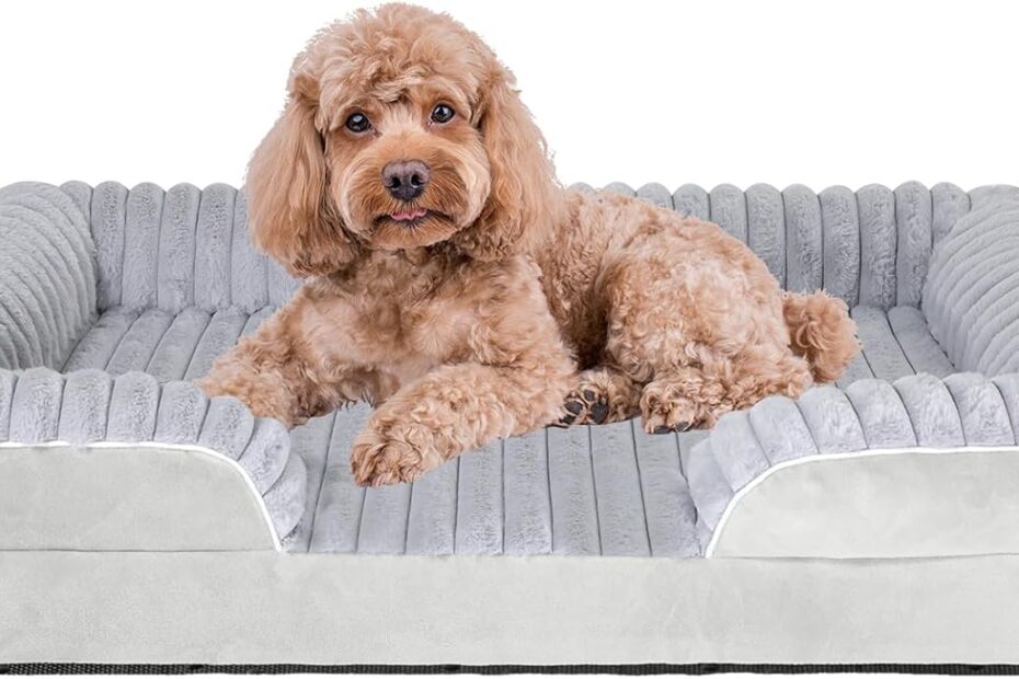 Ultimate Comfort: Review of the Premium Orthopedic Dog Bed for Large Dogs