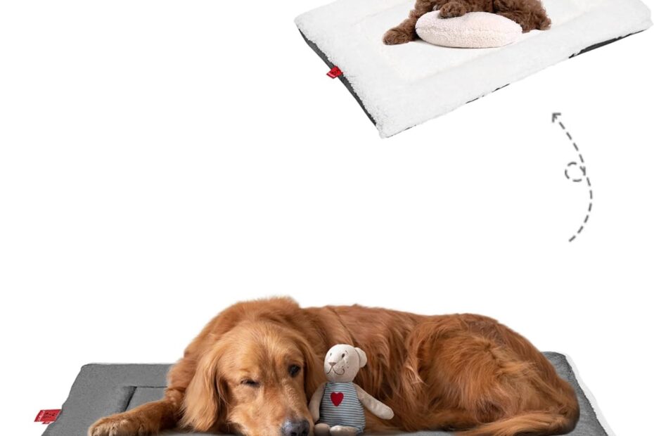 Ultimate Comfort: Review of the Reversible Orthopedic Dog Bed Mat for Every Pup