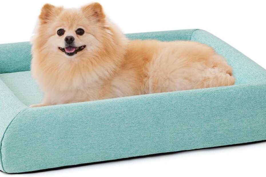 Ultimate Comfort: Review of the Washable Orthopedic Dog Bed for Medium Dogs