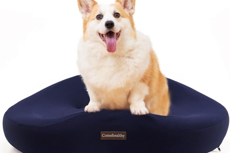 Ultimate Comfort: Review of the Washable Orthopedic Dog Bed for Your Furry Friend