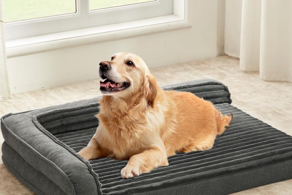 Ultimate Comfort: Review of the Waterproof Orthopedic Dog Bed for Happy, Restful Pups