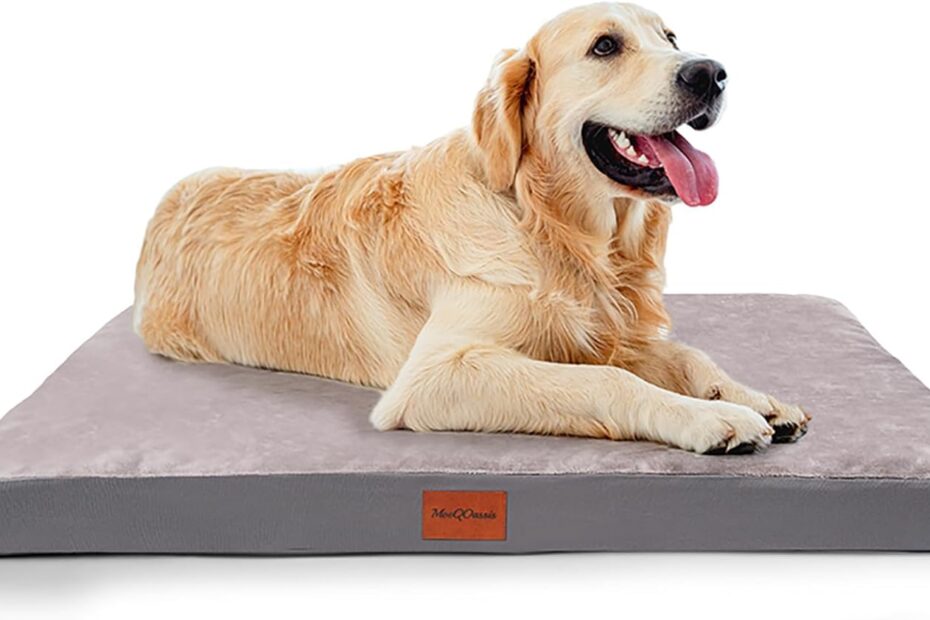 Ultimate Comfort: Review of the Waterproof Orthopedic Dog Bed for Large Breeds