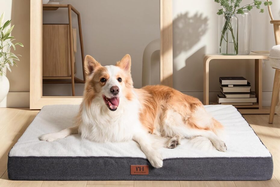Ultimate Comfort: Review of the WESTERN HOME Waterproof Orthopedic Dog Bed for Large Breeds