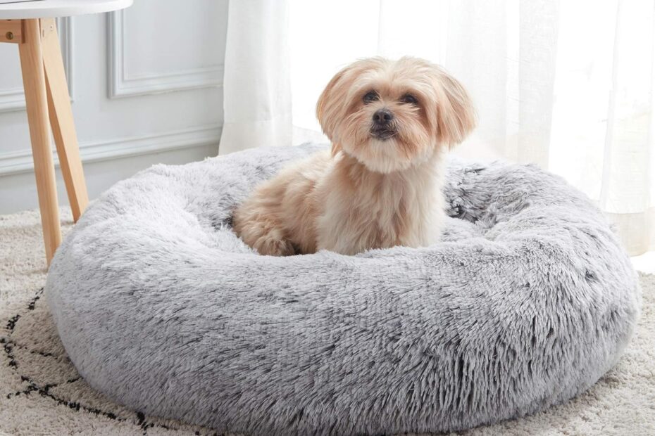 Ultimate Comfort: Review of the WESTERN HOME WH Calming Dog & Cat Bed