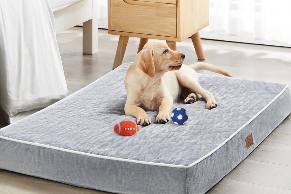Ultimate Comfort: Review of the WNPETHOME Extra Large Orthopedic Dog Bed