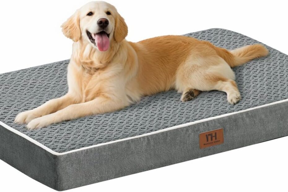 Ultimate Comfort: Review of the XL Orthopedic Dog Bed for Large Breeds