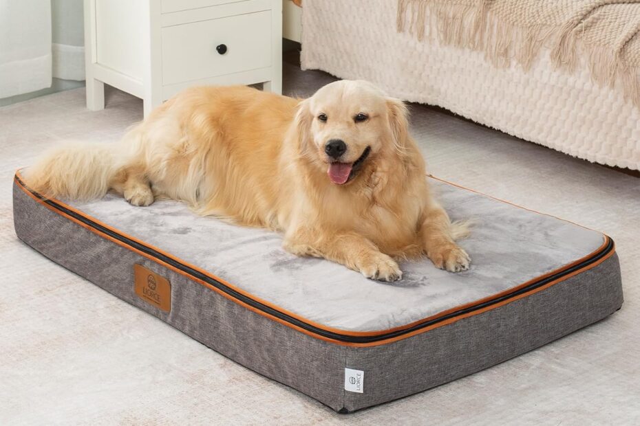 Ultimate Comfort: Review of the XXL Orthopedic Memory Foam Dog Bed for Extra Large Pets