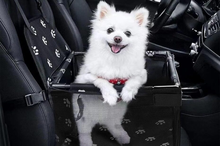 Ultimate Comfort: Small Dog Car Seats for Safe & Happy Travels!