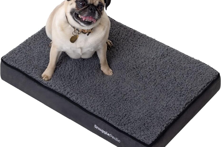 Ultimate Comfort: Snuggle-Pedic Memory Foam Dog Bed Review