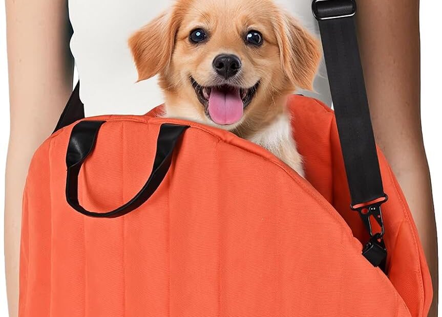 Ultimate Comfort & Style: The 3-in-1 Dog Carrier Review