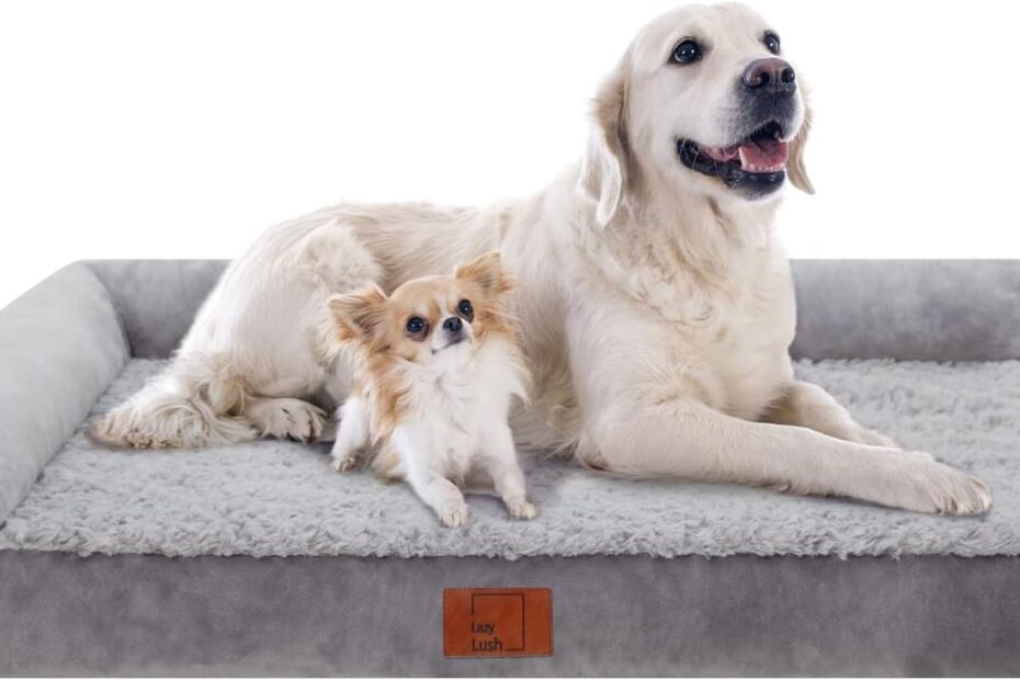 Ultimate Comfort: The Best Bolster Dog Bed for Your Extra Large Pup!