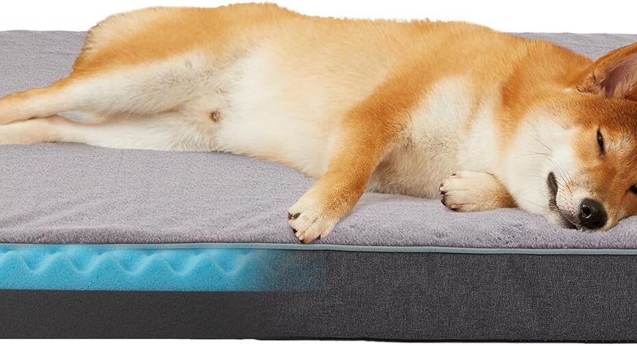 Ultimate Comfort: The Best Memory Foam Dog Bed for Large Pups!
