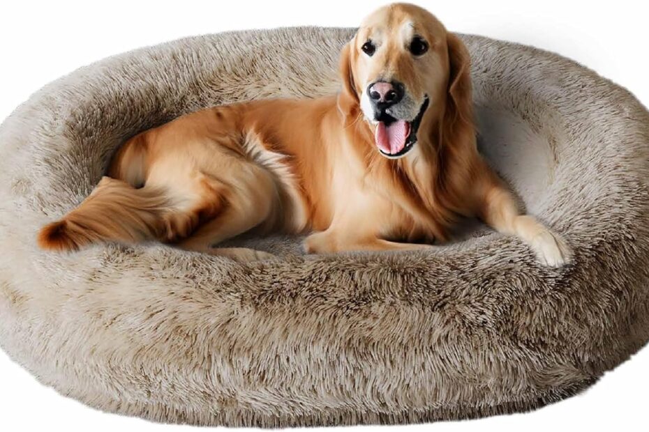 Ultimate Comfort: The Best Orthopedic Calming Dog Bed for XL Pups