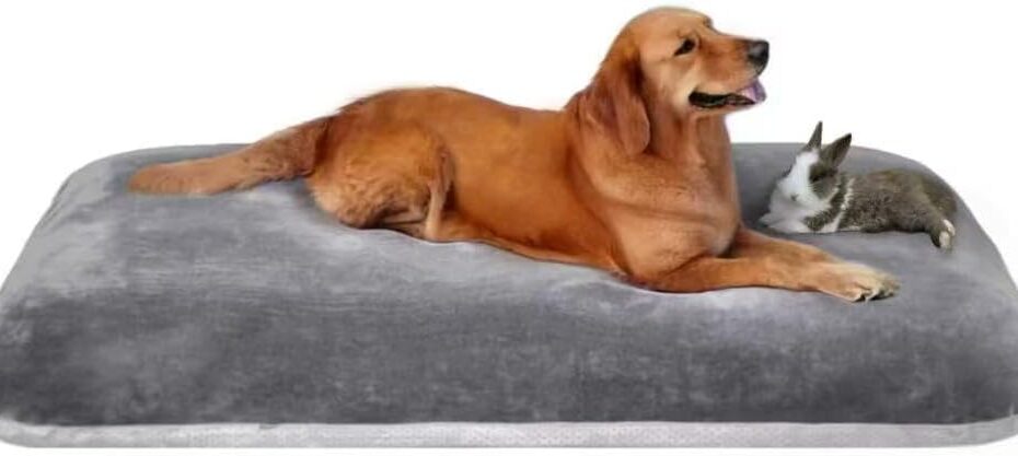 Ultimate Comfort: The Best Orthopedic Dog Bed for Giant Breeds