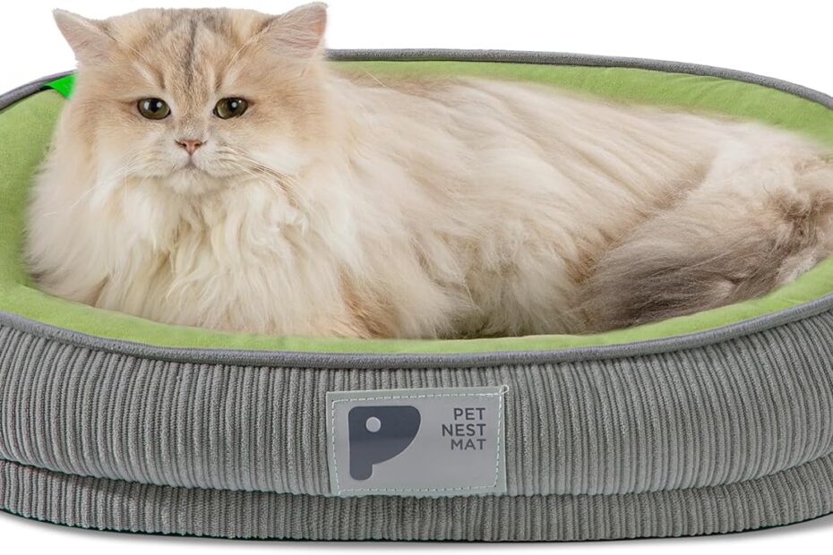Ultimate Comfort: The Best Orthopedic Dog Bed for Happy Pets!
