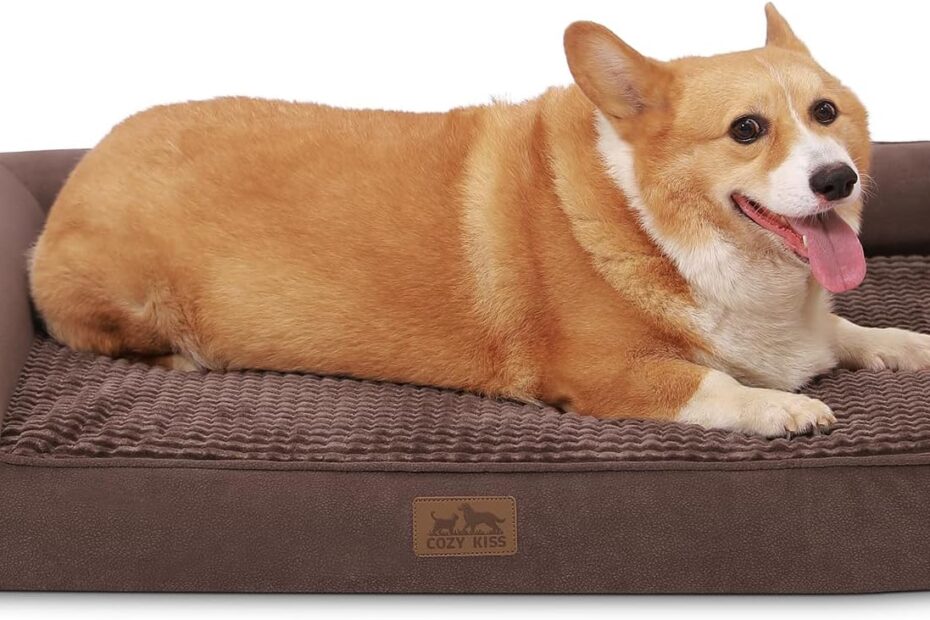 Ultimate Comfort: The Best Orthopedic Dog Bed for Large and Medium Pets