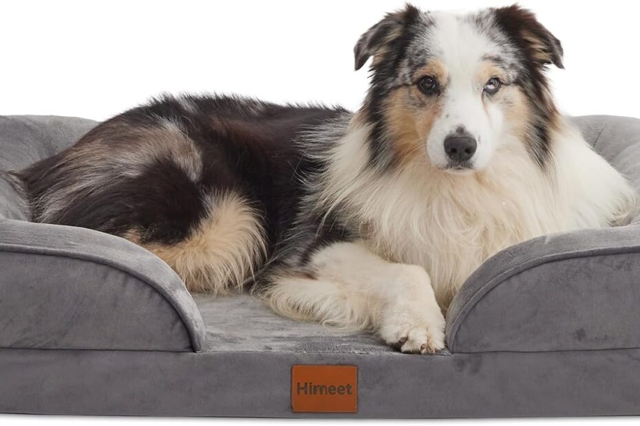 Ultimate Comfort: The Best Orthopedic Dog Bed for Large Breeds