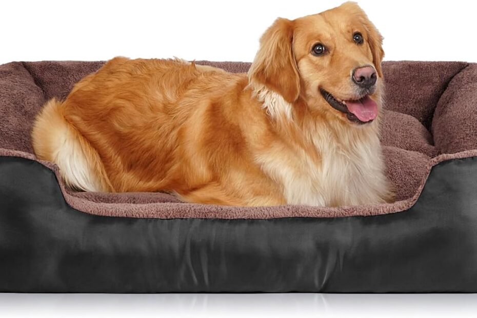 Ultimate Comfort: The Best Orthopedic Dog Bed for Large Breeds
