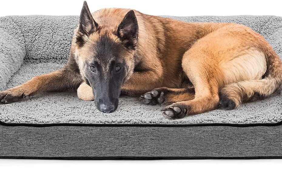 Ultimate Comfort: The Best Orthopedic Dog Bed for Large Breeds Reviewed!