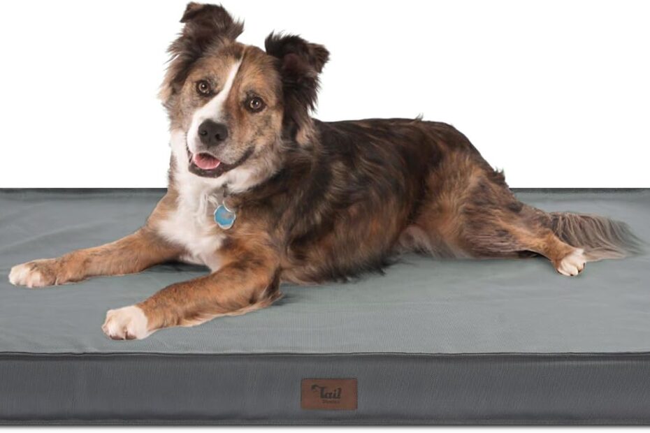 Ultimate Comfort: The Best Orthopedic Dog Bed for Large Dogs!