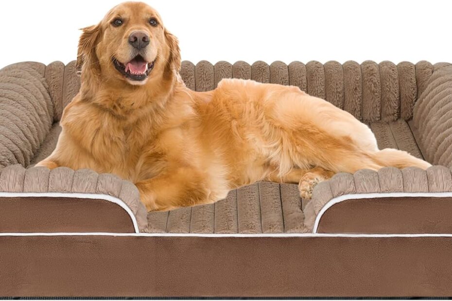 Ultimate Comfort: The Best Orthopedic Dog Bed for Your Large Pup