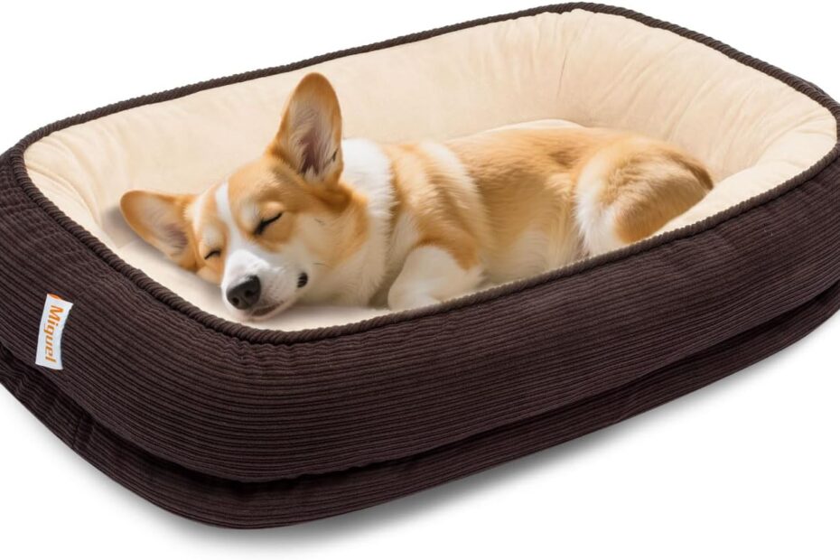 Ultimate Comfort: The Best Orthopedic Dog Bed for Your Medium-Sized Pet