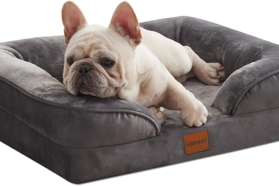 Ultimate Comfort: The Best Orthopedic Dog Bed for Your Small Pooch!