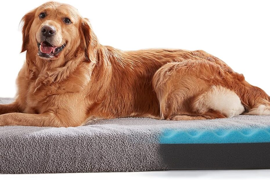Ultimate Comfort: The Best Orthopedic XL Dog Bed for Your Large Pet