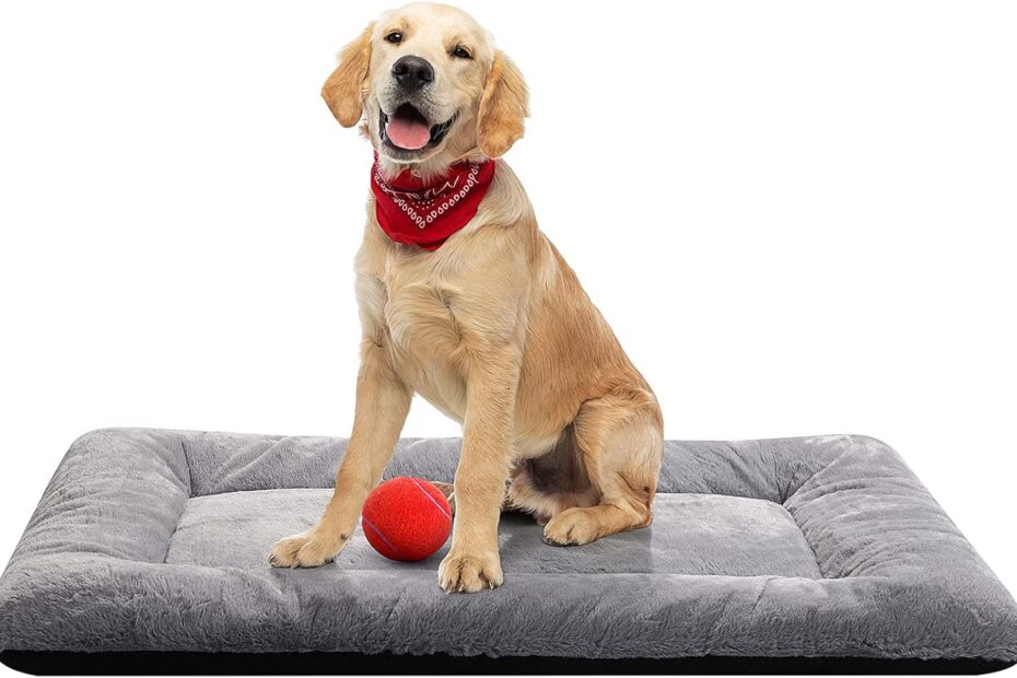Ultimate Comfort: The Best Washable Dog Bed for Medium/Large Breeds