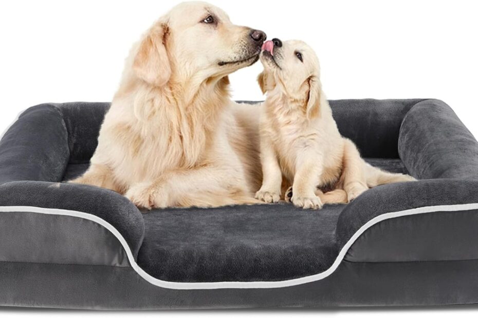 Ultimate Comfort: The Best Waterproof Orthopedic Dog Bed for Extra Large Dogs