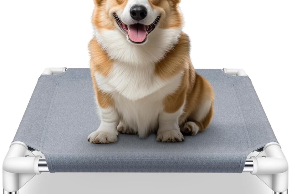 Ultimate Comfort: The Elevated Dog Bed Every Small Pet Deserves!