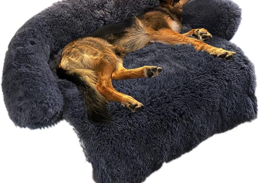 Ultimate Comfort: The Fluffy Plush Calming Dog Bed Review for All Sizes!