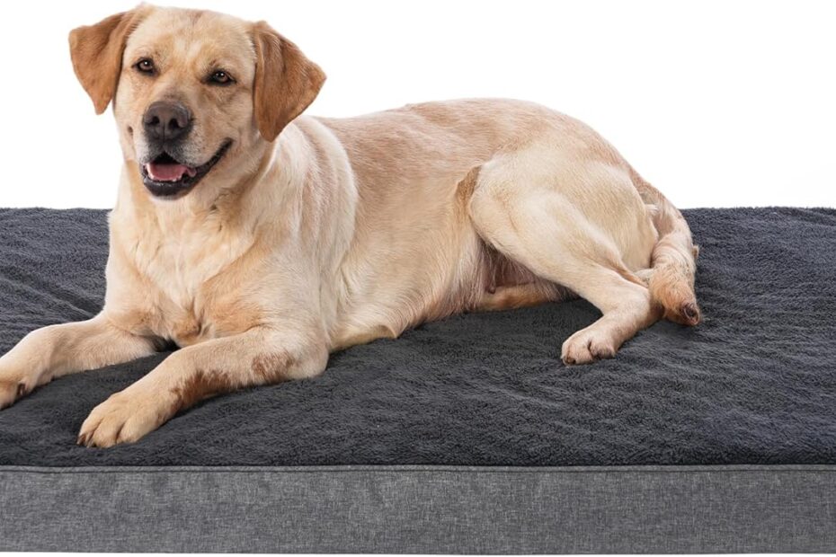 Ultimate Comfort: The Orthopedic Waterproof Dog Bed Your Pup Deserves!