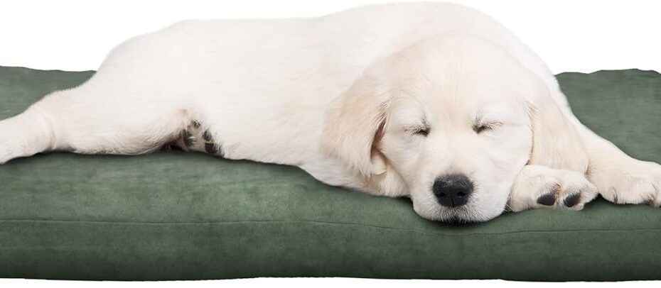Ultimate Comfort: The Petmaker Water-Resistant Orthopedic Dog Bed Reviewed!