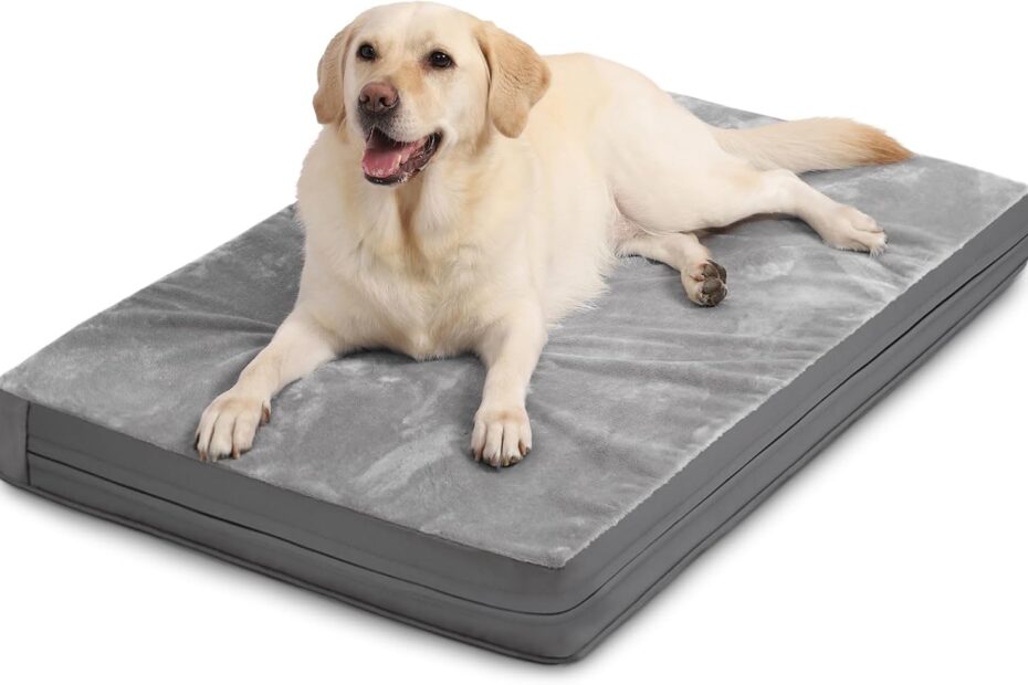Ultimate Comfort: The Waterproof XL Orthopedic Dog Bed Reviewed!