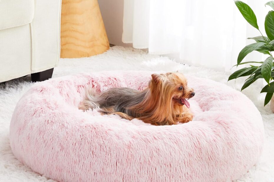 Ultimate Comfort: WNPETHOME Donut Pet Bed Review