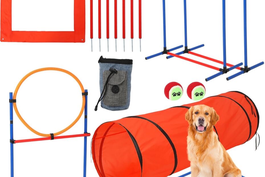 Ultimate Dog Agile Training Kit: Elevate Your Pup's Skills!