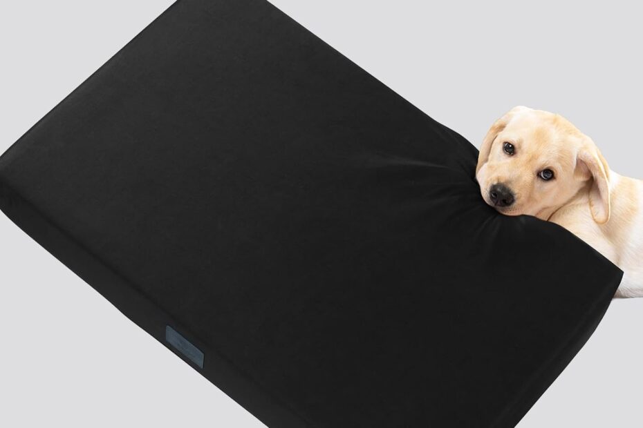Ultimate Durability: Review of the Veehoo Indestructible Dog Bed