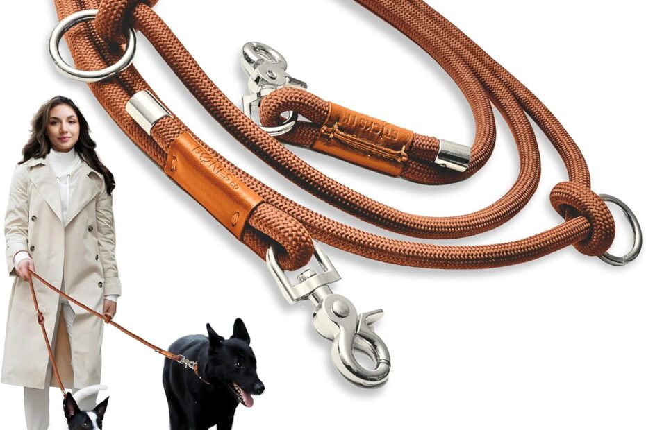 Ultimate Hands-Free Dog Leash: Perfect for Active Walks and Training!
