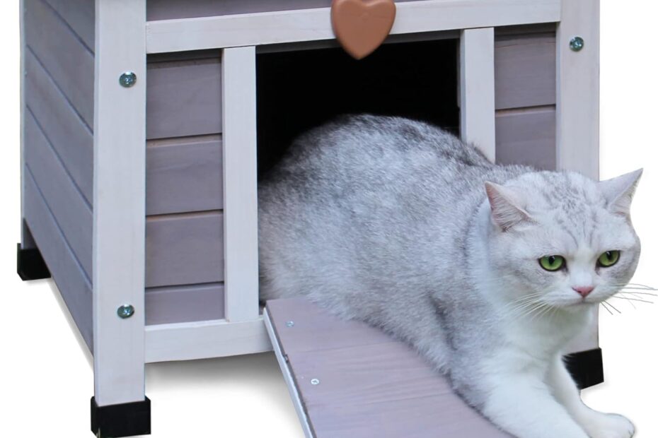 Ultimate Outdoor Haven: Deblue Weatherproof Cat House Review