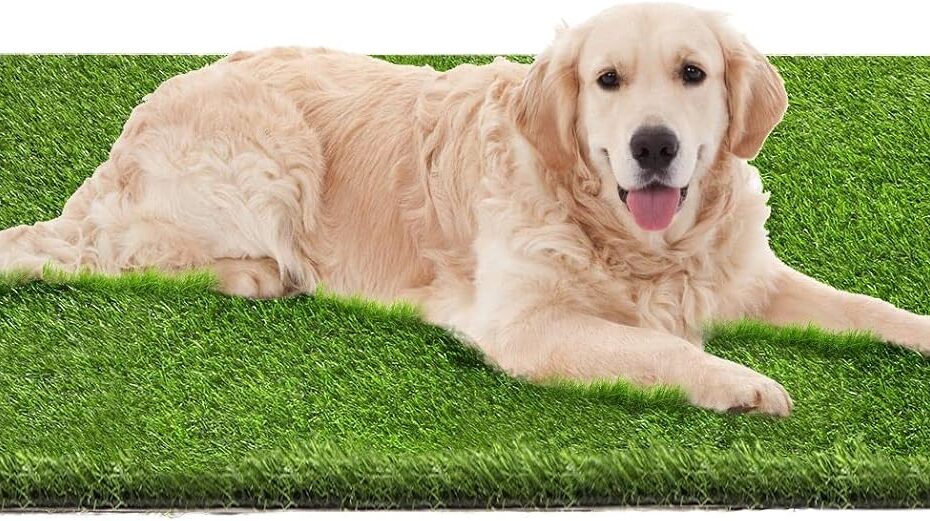 Ultimate Review: Artificial Grass Dog Pee Pads for Easy Potty Training