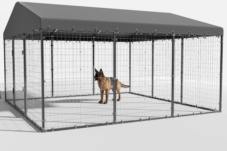 Ultimate Review: Heavy Duty Large Outdoor Dog Kennel for Safe Playtime!